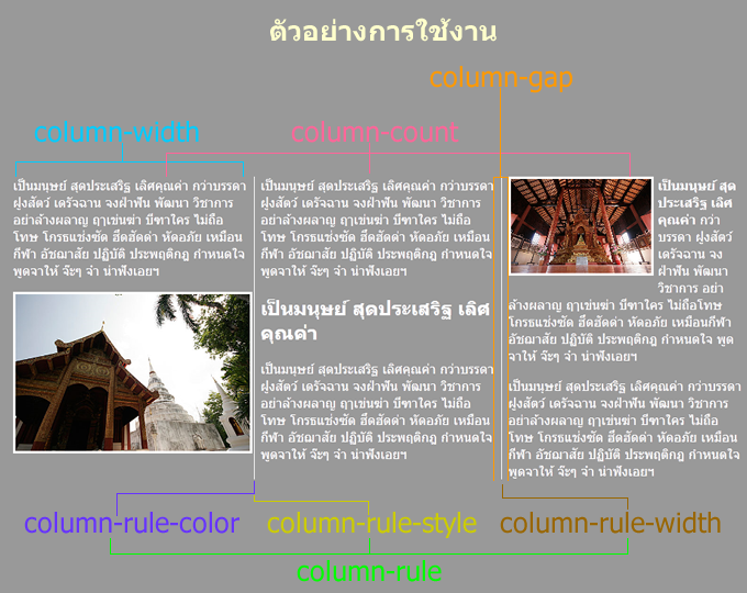 ภาพตัวอย่างการใช้งาน Property ต่างๆ ในการจัดหน้า แบบคอลัมน์