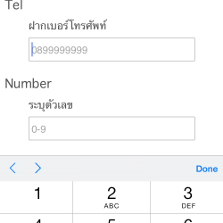 input type tel